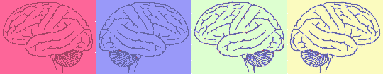 Cortex