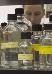 Weed Lab